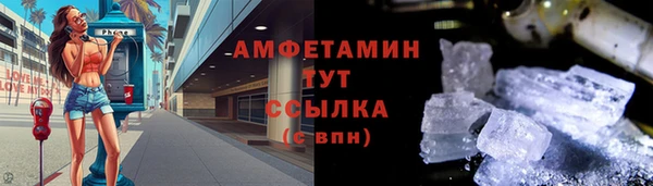 стаф Балахна