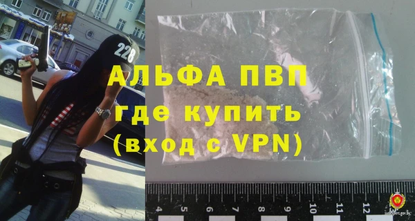 стаф Балахна