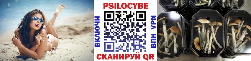 сайты даркнета клад  даркнет сайт  Заречный  Псилоцибиновые грибы Cubensis 