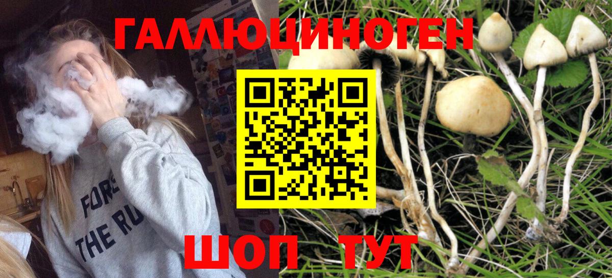 Галлюциногенные грибы Magic Shrooms Заречный